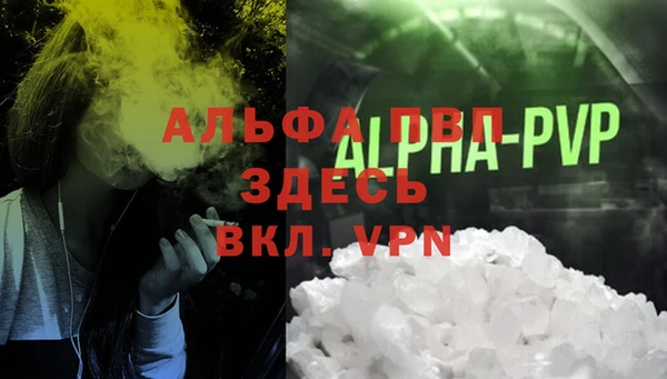 прущие грибы Покров