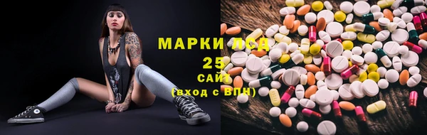 шишки Белоозёрский