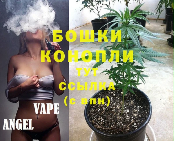 шишки Белоозёрский