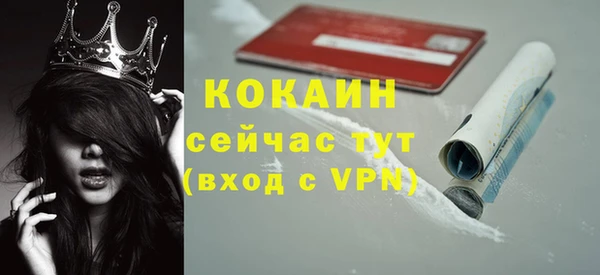 шишки Белоозёрский