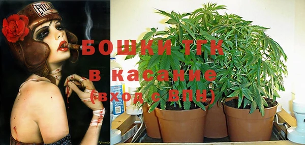 гашик Балахна