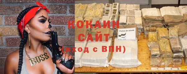 шишки Белоозёрский