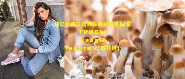 шишки Белоозёрский