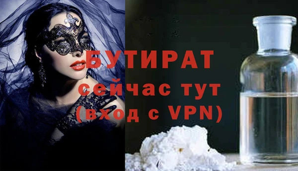 шишки Белоозёрский